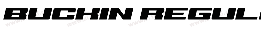 Buckin Regular Demo字体转换